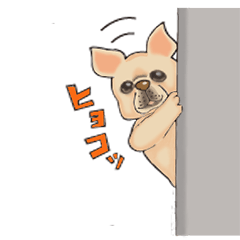 ブサかわワンコのミルクたん