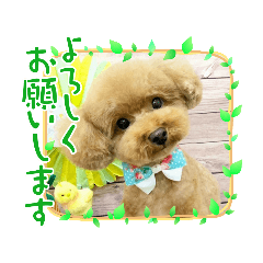 にちじょーあいさつ