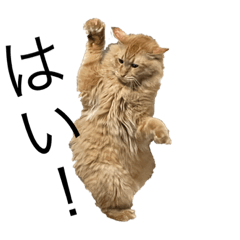 まめ・てんスタンプ