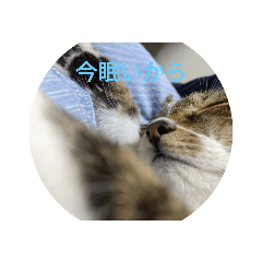 すみこさまスタンプ