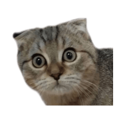 ちゃんぴえスタンプ3