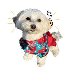 むっちゃんだぞ！