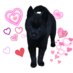 くうちゃんちょこちゃん