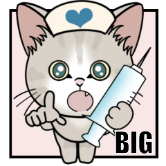 【季節の変わり目】ご注意ください【Big】