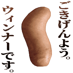 キモ激しく動く！ウィンナー 2