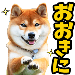 リアル☆わんこ（関西弁）