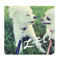 ななりりスタンプ