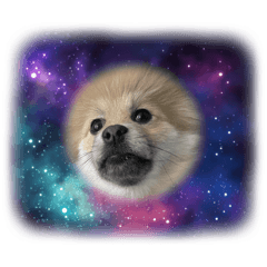 うにうにらんど