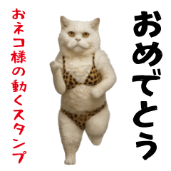 お猫様の動くスタンプ10
