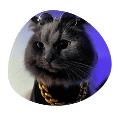 サイベリアンのグリさん