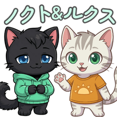 ノクト＆ルクス リアクション