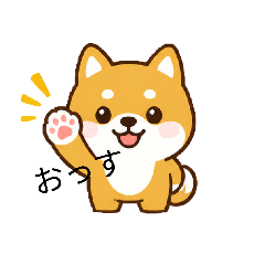 わんこのとある日常