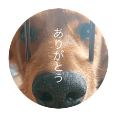 ロンくんスタンプ