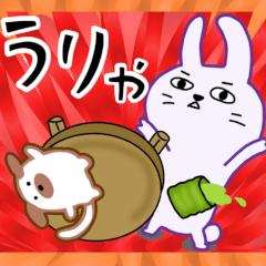 異次元ウサギの囁き・普通によく使う言葉集