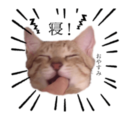 ライリースタンプ