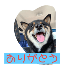 はるくん はなちゃん 時々長崎弁2