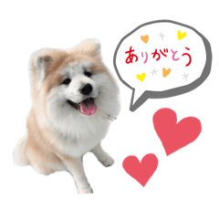 我が家の柴犬・秋田犬スタンプ