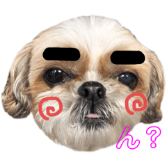 まゆげちゃんとまゆげくん