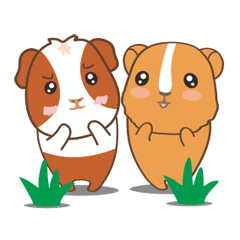 グーグーとモモの日常生活