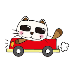 タヌネコ君の日常