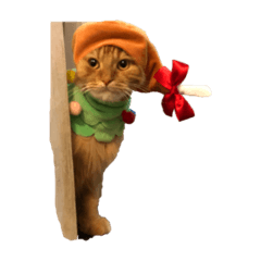 かっこいいしし丸2