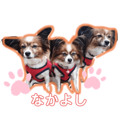 テン&クウ&ソラ