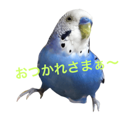 気持ち話しとります