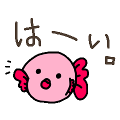 ゆるい金魚の日常