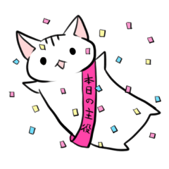 愛想のないマンチカン２