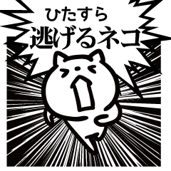 ひたすら逃げるネコ