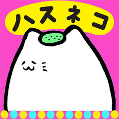 ハスネコちゃん１
