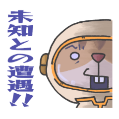 スペースシマリス 基本セット