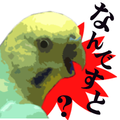 可愛い動物1便利スタンプ