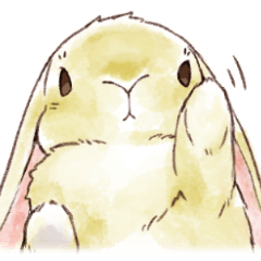 わんこじゃないよ、うさぎだよっ。