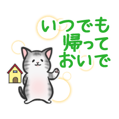 中高年ねこ　はなれて暮らすキミへ