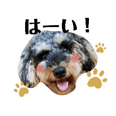 ヨープーのぷう