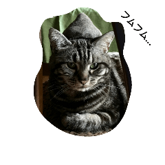 うちのすたんぷ