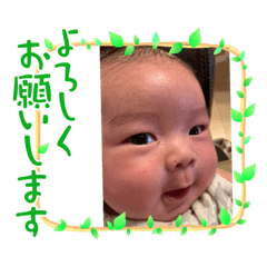 蒼ちゃんスタンプ1️⃣