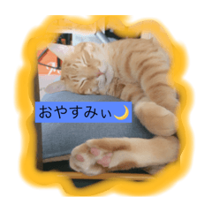 スィールくんとサフィルちゃん