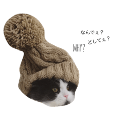 ロッちゃんのきもち