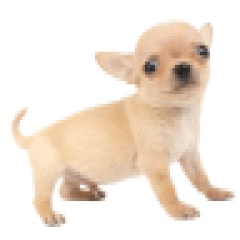 天くんの日常スタンプ