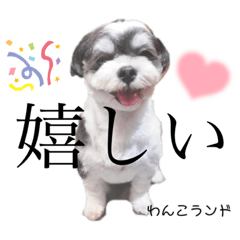 わんこランド（大分）