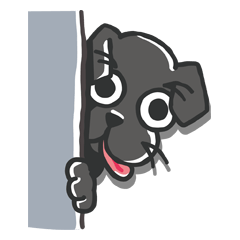 黒ラブのちょこあ