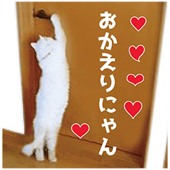 ねこ写真スタンプ！白ネコ からまる 2