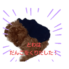 トイプードル　とわくんスタンプ　第三段