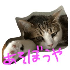 ちょっくん&ルーク