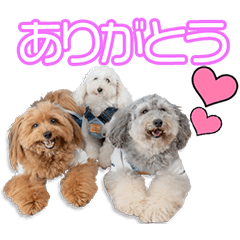 河杉家の龍＆結＆凛ちゃん