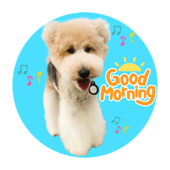 テリアなんだぜ〜ボンジョビ君