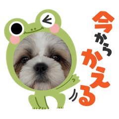 色々な❤マッシュくん