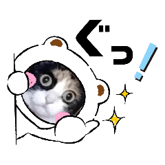 うちの子シリーズ『ネコのはるみちゃん』